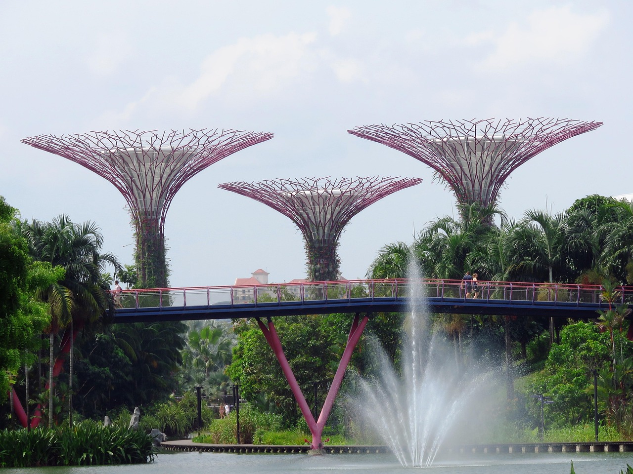 gardens by the bay